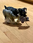 Schnauzer thumbnail